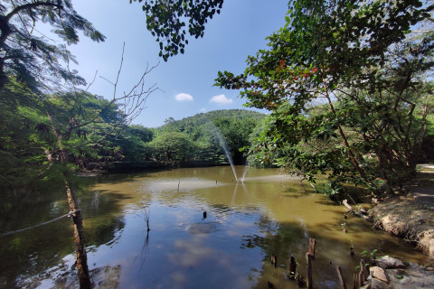 หมู่บ้านช้างหัวหิน (Hua Hin Elephant Village)