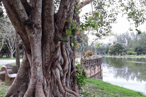 สวนขวัญเมือง (Suan Kwan Muang Park) Photo 3 of 5