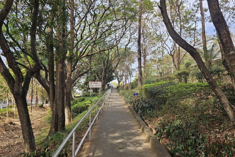 จุดชมวิวสะพานมิตรภาพไทย - ลาว (Thai-Lao Friendship Bridge Viewpoint) Photo 3 of 5