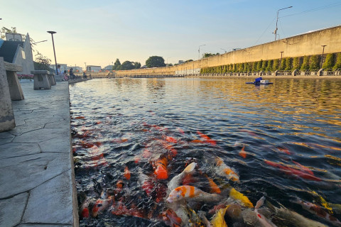 เกาะญวน นครสวรรค์ (Ko Yuan Nakhon Sawan)