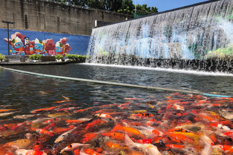 เกาะญวน นครสวรรค์ (Ko Yuan Nakhon Sawan)