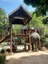 หมู่บ้านช้างหัวหิน (Hua Hin Elephant Village)
