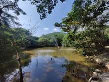 หมู่บ้านช้างหัวหิน (Hua Hin Elephant Village)