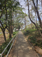 จุดชมวิวสะพานมิตรภาพไทย - ลาว (Thai-Lao Friendship Bridge Viewpoint) Photo 3 of 5