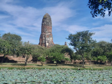 วังช้างอยุธยา แล เพนียด (Ayutthaya Elephant Palace Royal Kraal) Photo 2 of 5