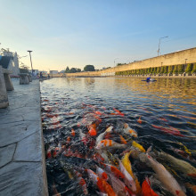 เกาะญวน นครสวรรค์ (Ko Yuan Nakhon Sawan)