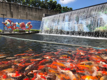 เกาะญวน นครสวรรค์ (Ko Yuan Nakhon Sawan)